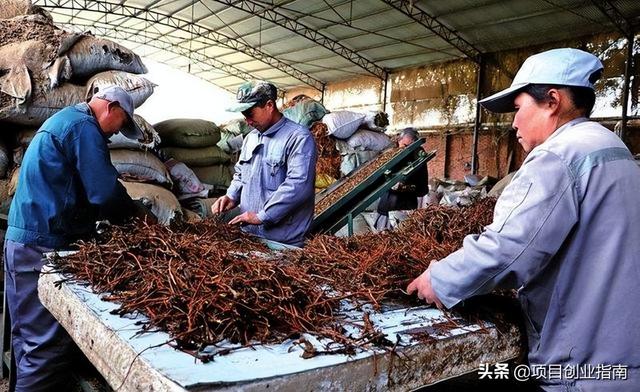 图片[3]-适合年轻人白手起家的冷门小生意，做好发家致富不难-千图副业网