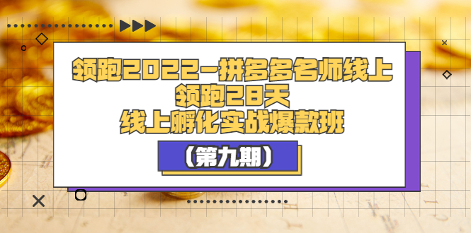 【副业项目3821期】拼多多名师线上领跑28天，拼多多线上孵化实操爆款班（第九期）-千图副业网