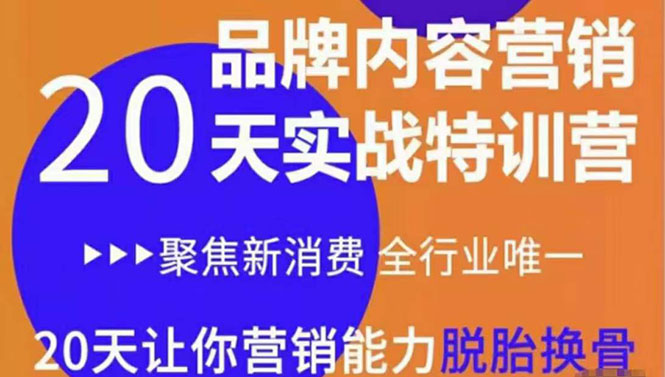 【副业项目3899期】《内容营销实操特训营》20天让你营销能力脱胎换骨（价值3999）-千图副业网