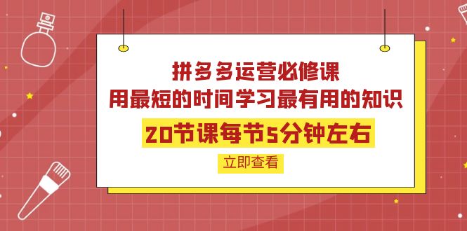 【副业项目4189期】拼多多运营必修课：20节课每节5分钟左右，用最短的时间学习最有用的知识-千图副业网