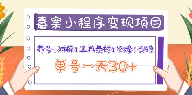 【副业项目4214期】图文案小程序变现项目：养号+对标+工具素材+实操+变现，单号一天30+-千图副业网