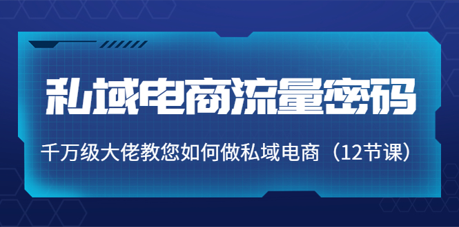 【副业项目4297期】私域电商流量密码：千万级大佬教您如何做私域电商（12节课）-千图副业网