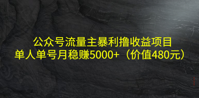 【副业项目4325期】公众号流量主暴利撸收益项目，单人单号月稳赚5000+（价值480元-千图副业网