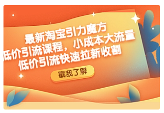 【副业项目4943期】最新淘宝引力魔方低价引流实操：小成本大流量，低价引流快速拉新收割-千图副业网