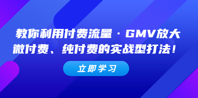 【副业项目5265期】教你利用付费流量·GMV放大，微付费、纯付费的实战型打法-千图副业网