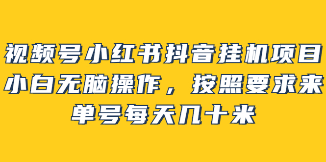 【副业项目2904期】视频号小红书抖音挂机项目，小白无脑操作，按照要求来，单号每天几十米-千图副业网