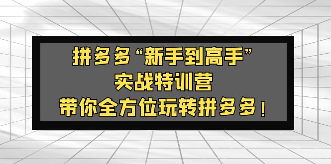 【副业项目5317期】拼多多“新手到高手”实战特训营：带你全方位玩转拼多多-千图副业网