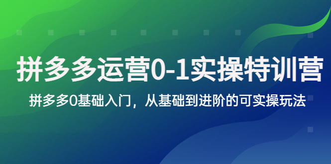 【副业项目5801期】拼多多-运营0-1实操训练营，拼多多0基础入门，从基础到进阶的可实操玩法-千图副业网