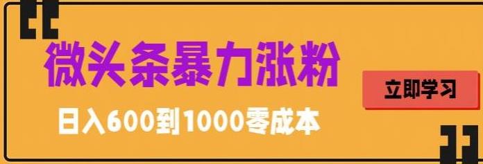 【副业项目5970期】微头条暴力涨粉技巧搬运文案就能涨几万粉丝，简单0成本，日赚600-千图副业网