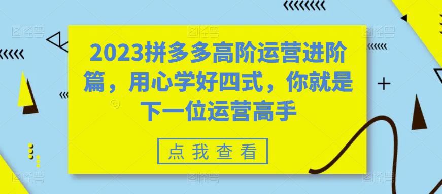 【副业项目6241期】2023拼多多高阶运营进阶篇，用心学好四式，你就是下一位运营高手-千图副业网