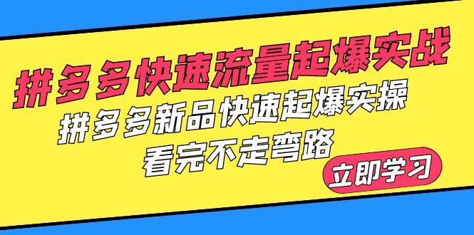 【副业项目6310期】拼多多-快速流量起爆实战，拼多多新品快速起爆实操，看完不走弯路-千图副业网