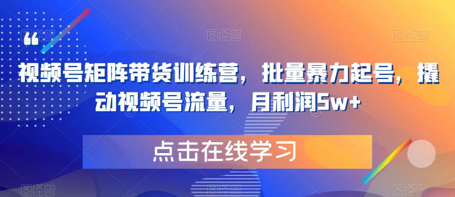 【副业项目6254期】视频号矩阵带货训练营，批量暴力起号，撬动视频号流量，月利润5w+-千图副业网