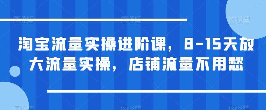 【副业项目6415期】淘宝流量实操进阶课，8-15天放大流量实操，店铺流量不用愁-千图副业网