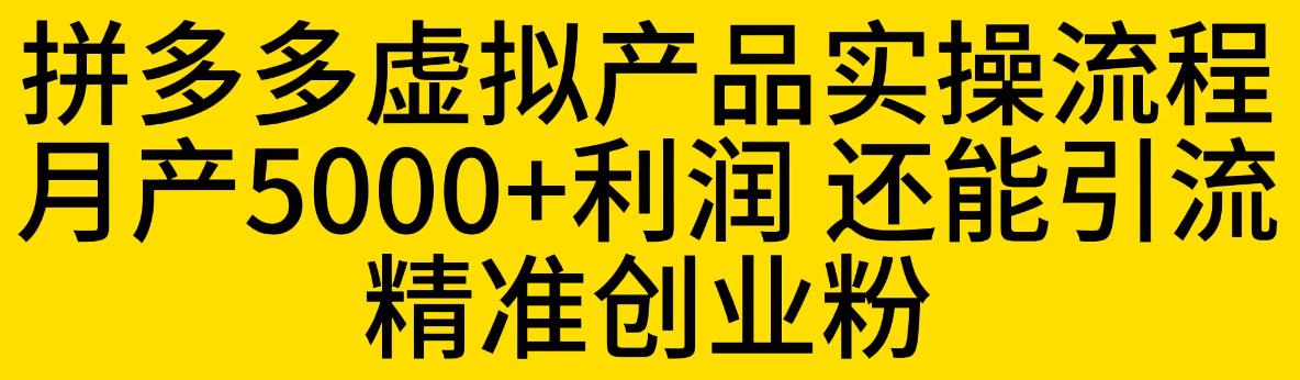 【副业项目6569期】拼多多虚拟产品实操流程，月产5000+利润，还能引流精准创业粉-千图副业网