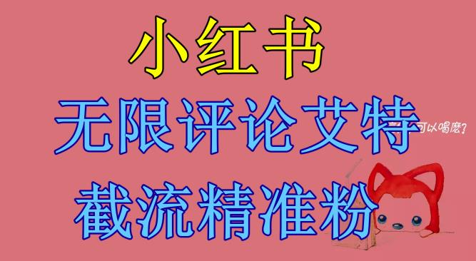 【副业项目6846期】小红书无限评论艾特截流精准粉（软件+教程）-千图副业网