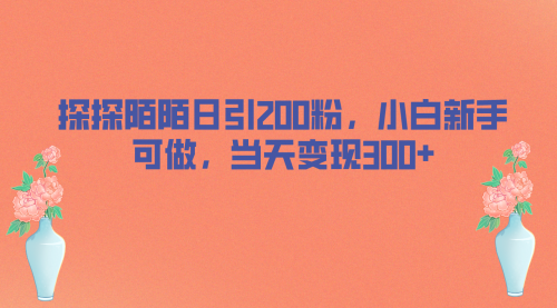 【副业项目7026期】探探陌陌日引200粉，小白新手可做，当天就能变现300+-千图副业网