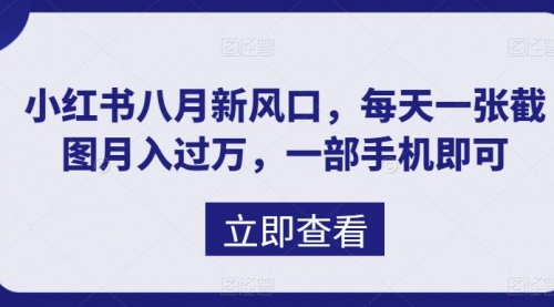 【副业项目7078期】八月新风口，小红书虚拟项目一天收入1000+-千图副业网