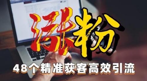 【副业项目7097期】独家分享48个引流绝技，再没粉丝只能怪自己了！-千图副业网