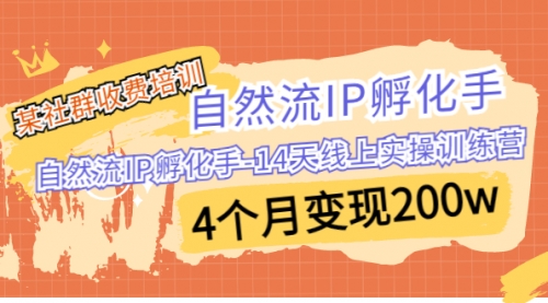 【副业项目7109期】自然流IP孵化手-14天线上实操训练营 4个月变现200w-千图副业网