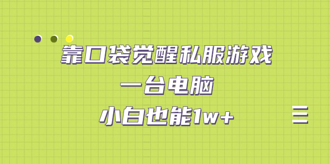 【副业项目7248期】靠口袋觉醒私服游戏，一台电脑，小白也能1w+（教程+工具+资料）-千图副业网