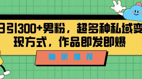 【副业项目7191期】独家推荐！日引300+男粉，超多种私域变现方式-千图副业网