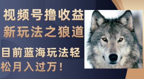 【副业项目8271期】视频号撸收益新玩法之狼道，目前蓝海玩法轻松月入过万！-千图副业网