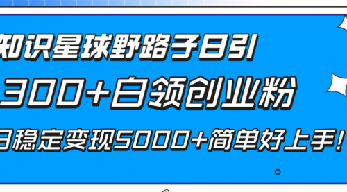 【副业项目8492期】知识星球野路子日引300+白领创业粉-千图副业网