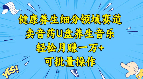 【副业项目8638期】健康养生细分领域赛道，卖音药U盘养生音乐，轻松月赚一万+，可批量操作-千图副业网