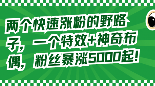 【副业8723期】两个快速涨粉的野路子，一个特效+神奇布偶，粉丝暴涨5000起！-千图副业网