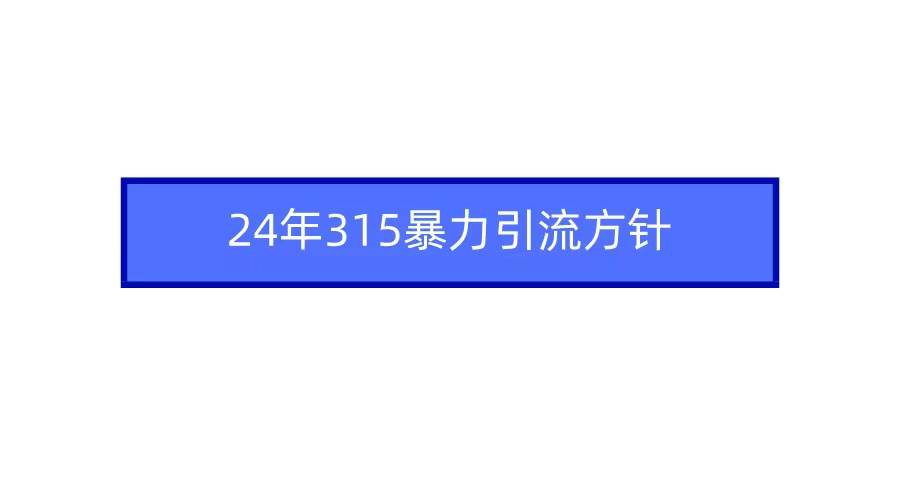 2024年315暴力引流方针-千图副业网