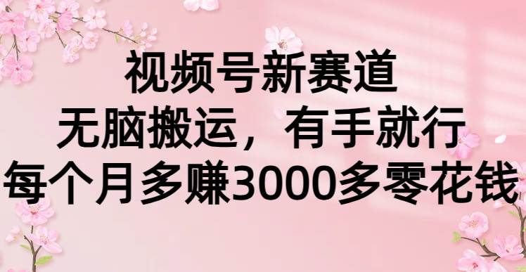 视频号新赛道，无脑搬运，有手就行，每个月多赚3000多零花钱-千图副业网