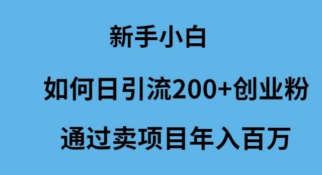 新手小白如何日引流200+创业粉通过卖项目年入百万-千图副业网