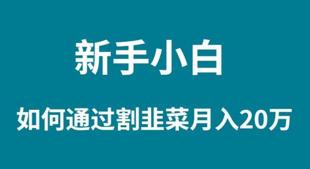 新手小白如何通过割韭菜月入 20W-千图副业网