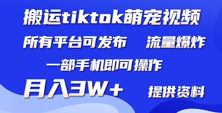 搬运Tiktok萌宠类视频，一部手机即可。所有短视频平台均可操作，月入3W+-千图副业网