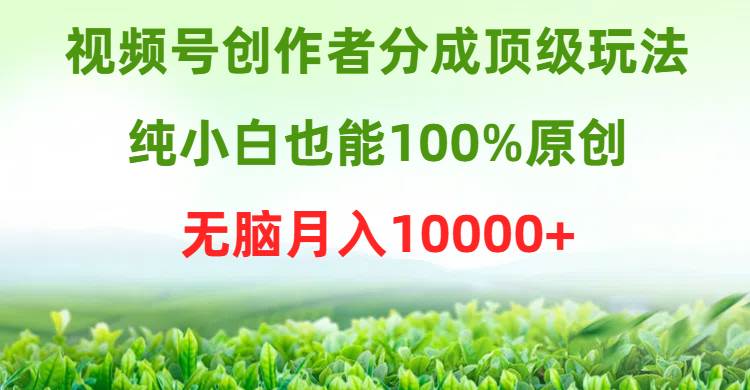 视频号创作者分成顶级玩法，纯小白也能100%原创，无脑月入10000+-千图副业网