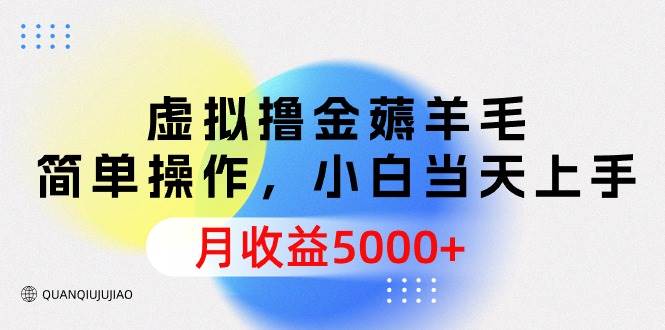 虚拟撸金薅羊毛，简单操作，小白当天上手，月收益5000+-千图副业网