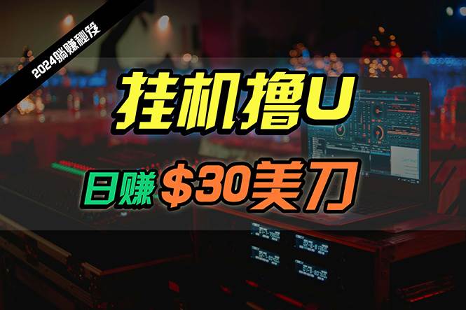 日赚30美刀，2024最新海外挂机撸U内部项目，全程无人值守，可批量放大-千图副业网