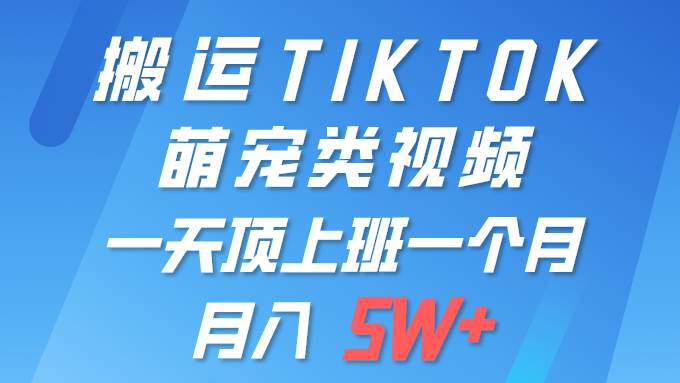 一键搬运TIKTOK萌宠类视频 一部手机即可操作 所有平台均可发布 轻松月入5W+-千图副业网