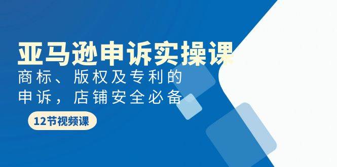 亚马逊-申诉实战课，商标、版权及专利的申诉，店铺安全必备-千图副业网