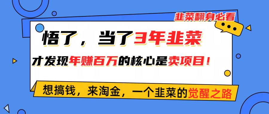 悟了，当了3年韭菜，才发现网赚圈年赚100万的核心是卖项目，含泪分享！-千图副业网