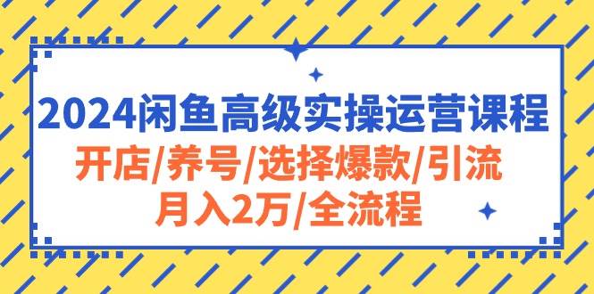 2024闲鱼高级实操运营课程：开店/养号/选择爆款/引流/月入2万/全流程-千图副业网