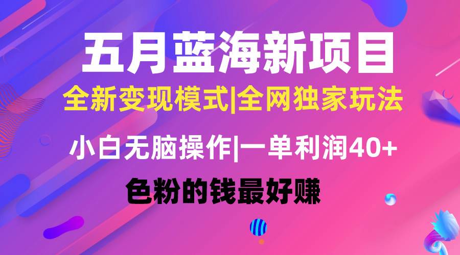 五月蓝海项目全新玩法，小白无脑操作，一天几分钟，矩阵操作，月入4万+-千图副业网