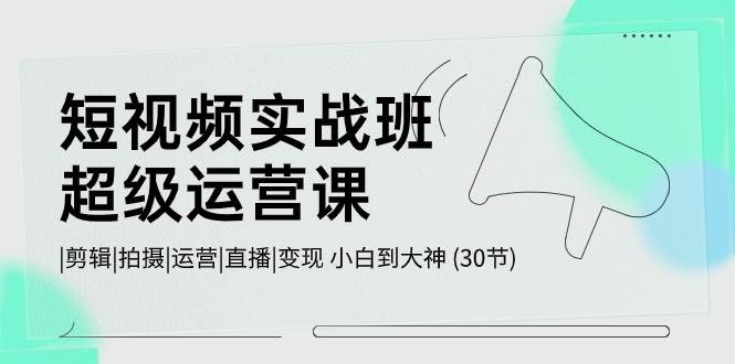 短视频实战班-超级运营课，|剪辑|拍摄|运营|直播|变现 小白到大神 (30节)-千图副业网