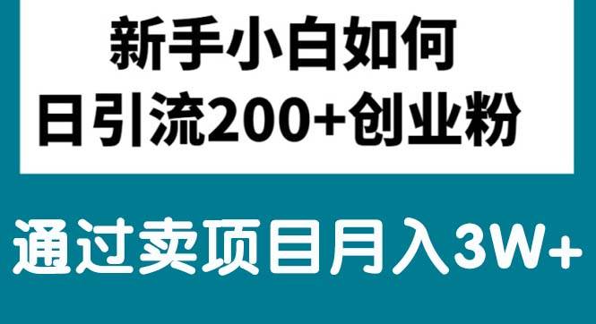 新手小白日引流200+创业粉,通过卖项目月入3W+-千图副业网