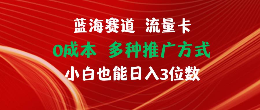 蓝海赛道 流量卡 0成本 小白也能日入三位数-千图副业网