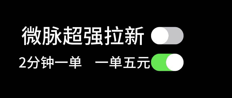 微脉超强拉新， 两分钟1单， 一单利润5块，适合小白-千图副业网