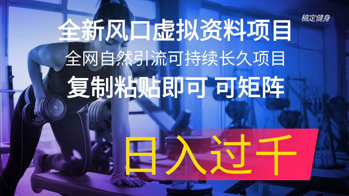 全新风口虚拟资料项目 全网自然引流可持续长久项目 复制粘贴即可可矩阵…-千图副业网