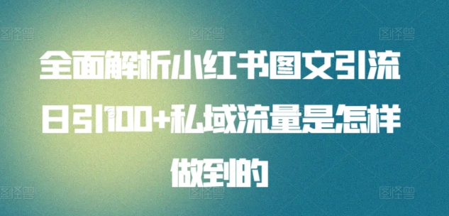 日引流100私域流量小红书图文是怎样做到的全面解析-千图副业网