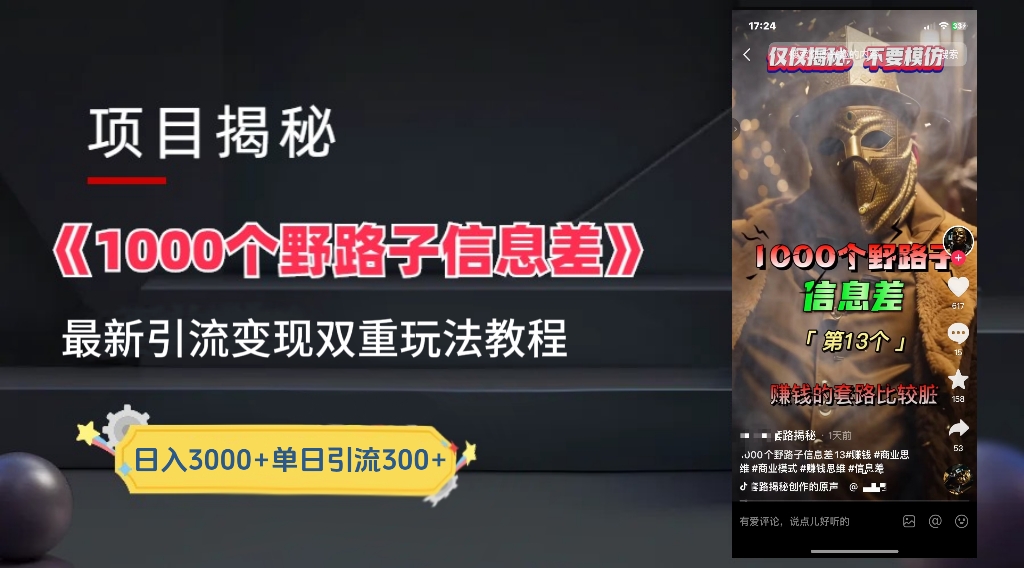 一千个野路子信息差24年最新玩法教程附带变现方法和引流的玩法具体拆解-千图副业网