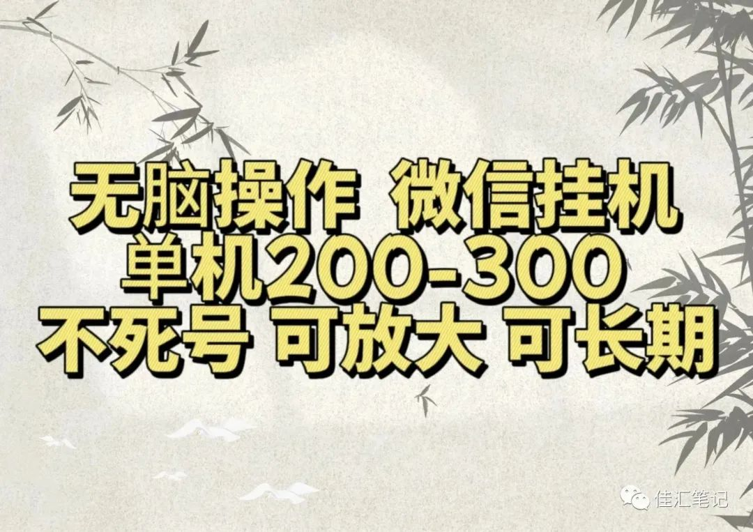 无脑操作微信视频号挂机单机200-300一天，不死号，可放大，工作室实测-千图副业网